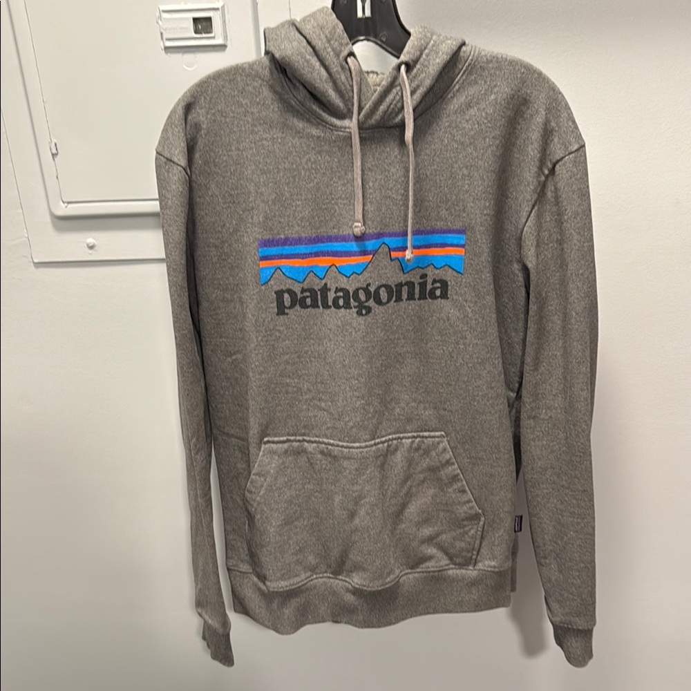 Patagonia Gray Sweatshirt